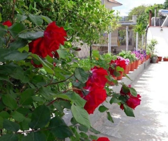Evelyn Home Limenas  Dış mekan fotoğraf