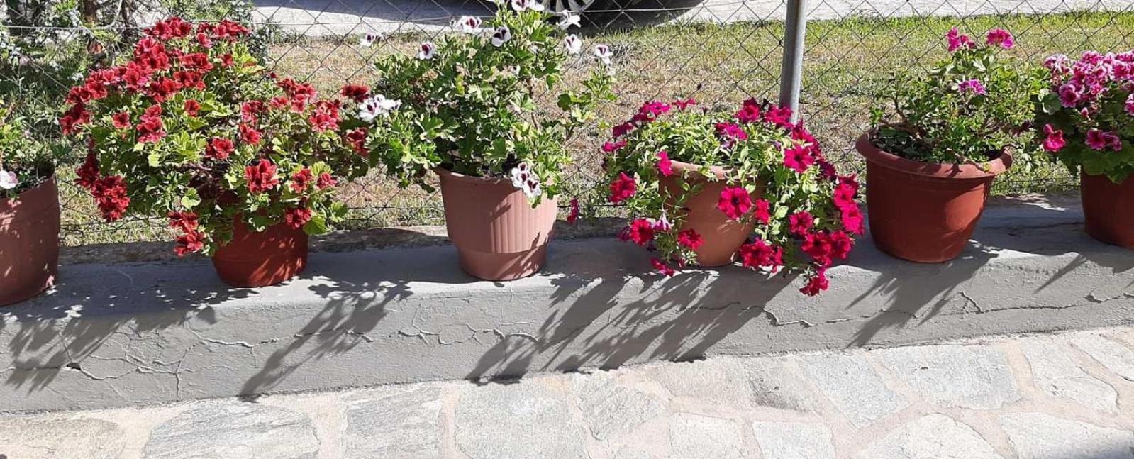 Evelyn Home Limenas  Dış mekan fotoğraf